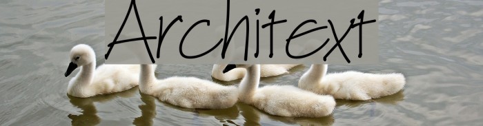 Architext Шрифта examples