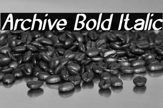 Archive Bold Italic Font examples