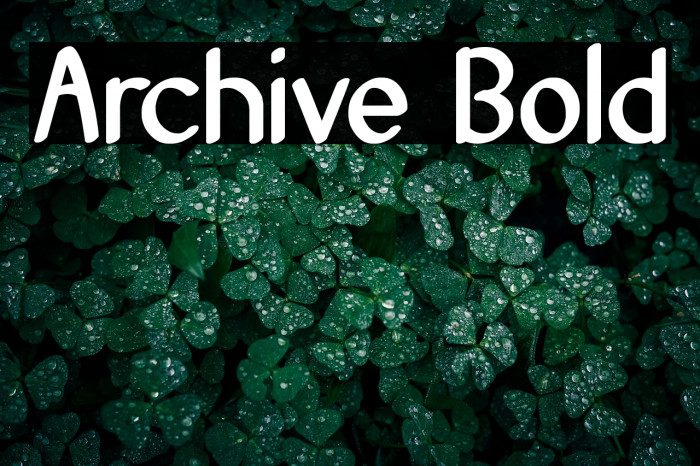 Archive Bold Example 1