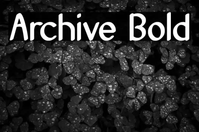 Archive Bold Example 1