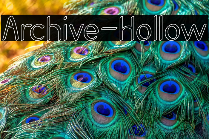 Archive-Hollow Example 2