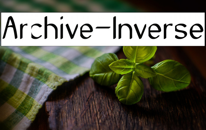 Archive-Inverse Example 3