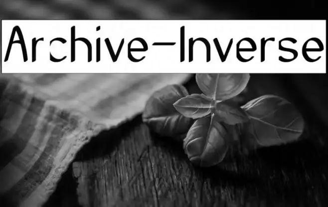 Archive-Inverse Example 3