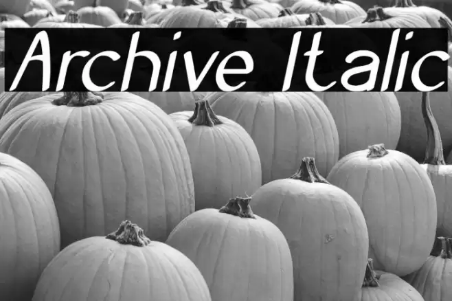 Archive Italic Font examples