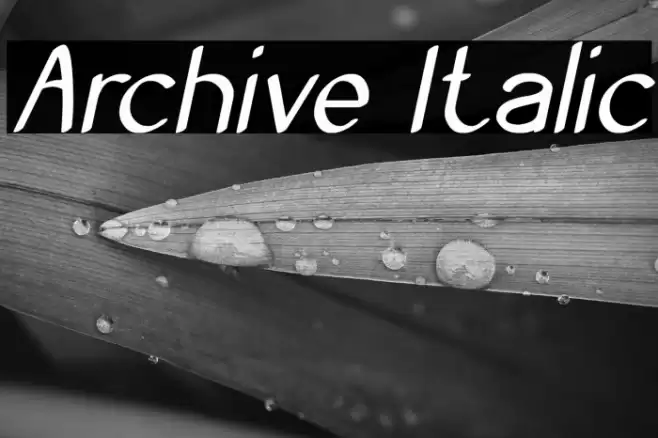 Archive Italic Font examples