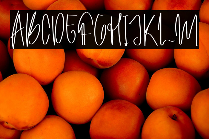 Archive Signature Example 2