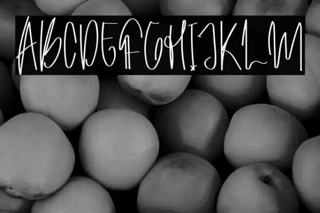 Archive Signature Font examples