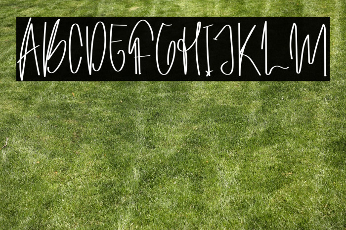 Archive Signature Example 3