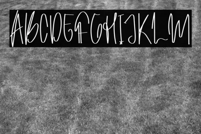 Archive Signature Font examples