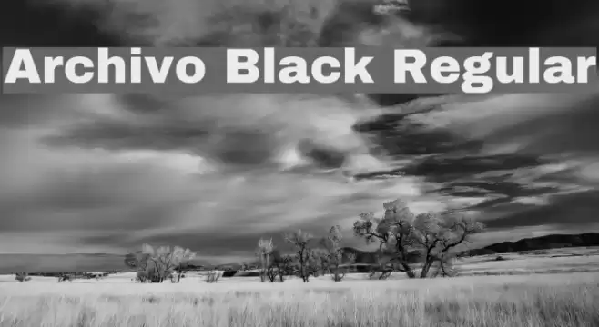 Archivo Black Regular Font examples