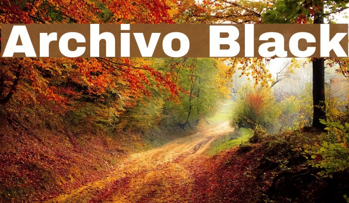 Archivo Black Font examples