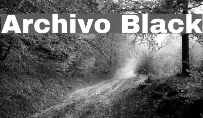 Archivo Black Example 2