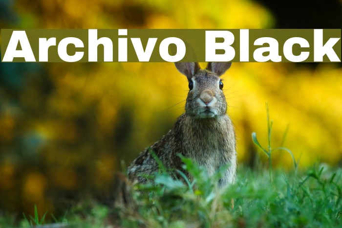 Archivo Black Font examples
