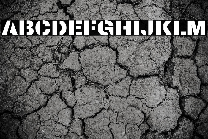 Archivo Black Example 2