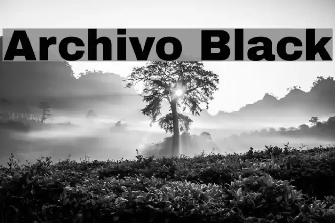Archivo Black Font examples