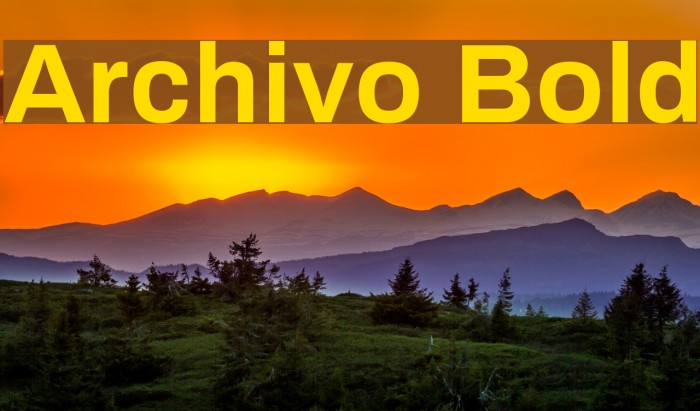 Archivo Bold Font examples