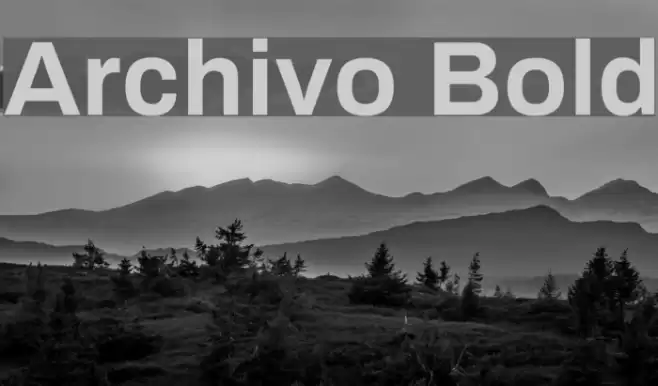 Archivo Bold Font examples