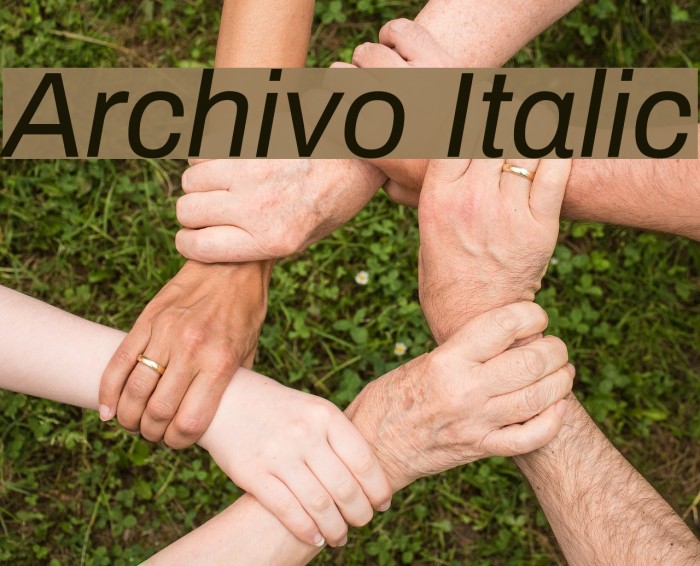 Archivo Italic Font examples