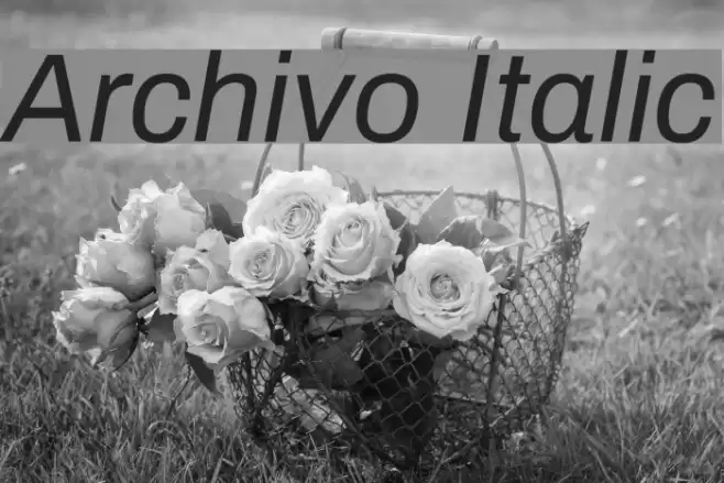 Archivo Italic Font examples