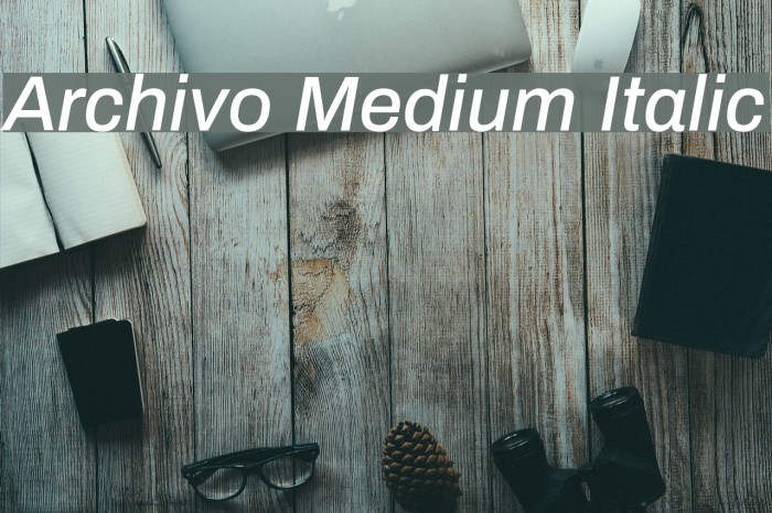 Archivo Medium Italic Font examples