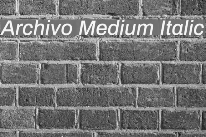 Archivo Medium Italic Font examples