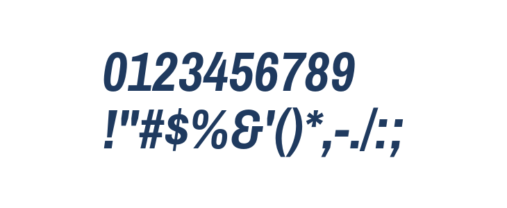 Archivo Narrow Bold Italic Other Characters