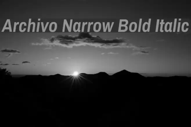 Archivo Narrow Bold Italic Font examples