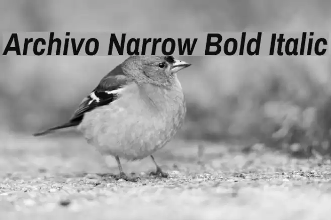 Archivo Narrow Bold Italic Font examples