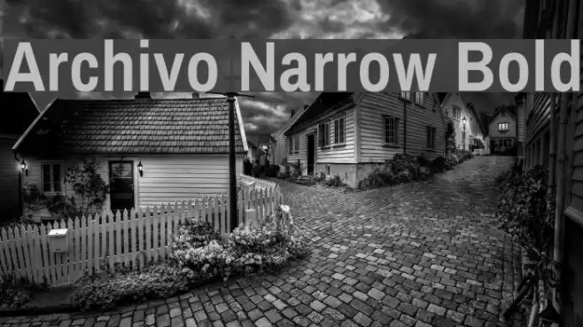 Archivo Narrow Bold Font examples