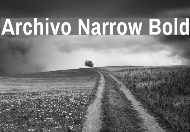 Archivo Narrow Bold Font examples