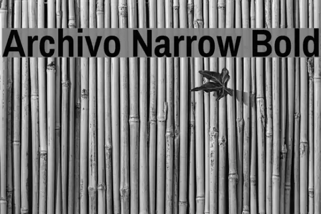 Archivo Narrow Bold خط examples