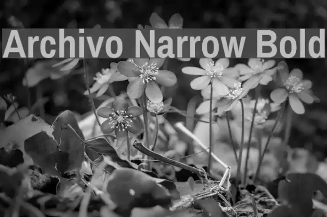Archivo Narrow Bold خط examples