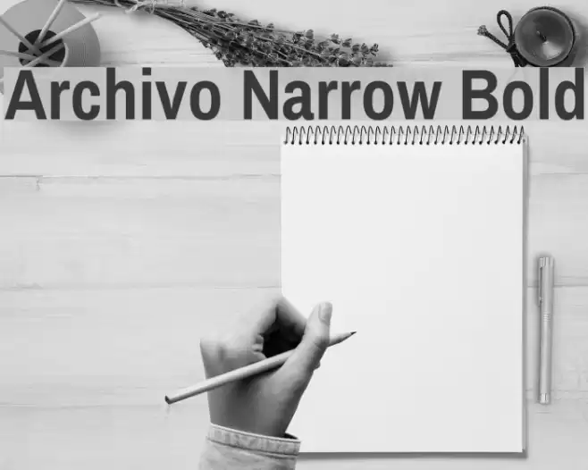 Archivo Narrow Bold خط examples