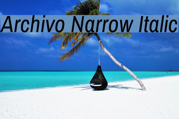 Archivo Narrow Italic Example 3