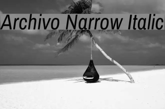 Archivo Narrow Italic Example 3