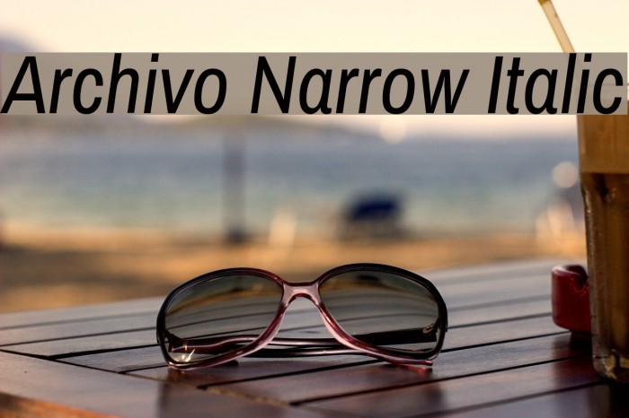 Archivo Narrow Italic Font examples