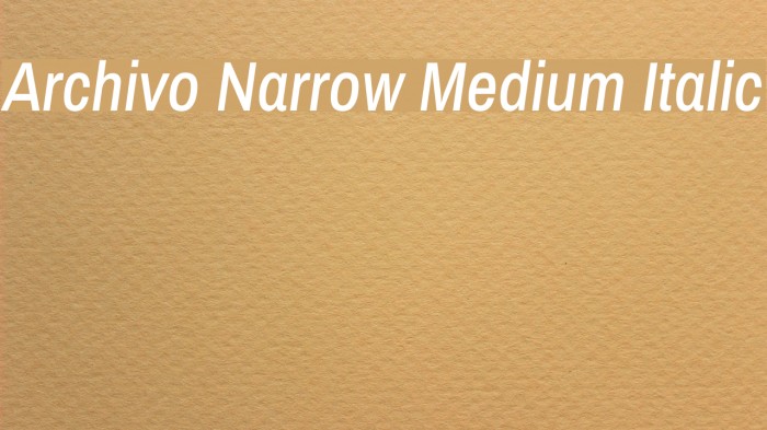Archivo Narrow Medium Italic لخطوط تنزيل examples
