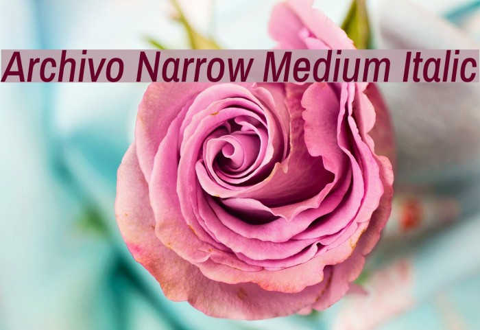 Archivo Narrow Medium Italic لخطوط تنزيل examples