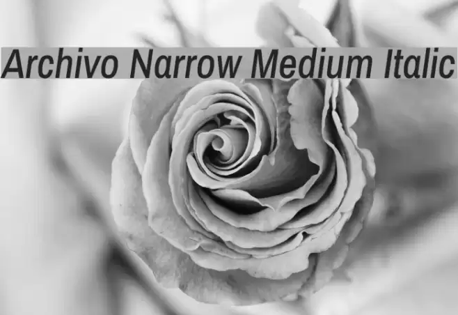 Archivo Narrow Medium Italic Font examples