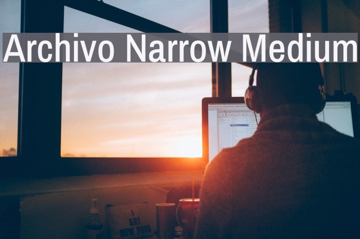 Archivo Narrow Medium لخطوط تنزيل examples