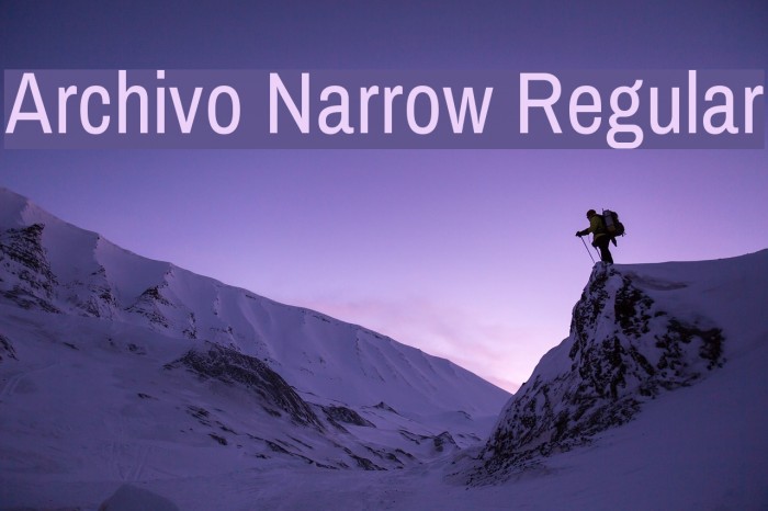 Archivo Narrow Regular Font examples