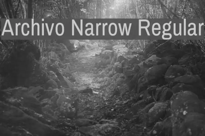 Archivo Narrow Regular Example 3