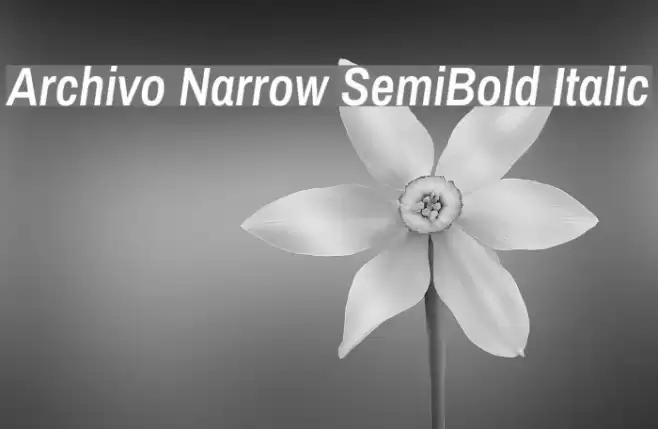 Archivo Narrow SemiBold Italic Font examples