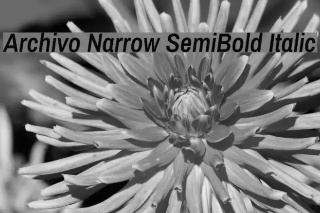 Archivo Narrow SemiBold Italic Font examples