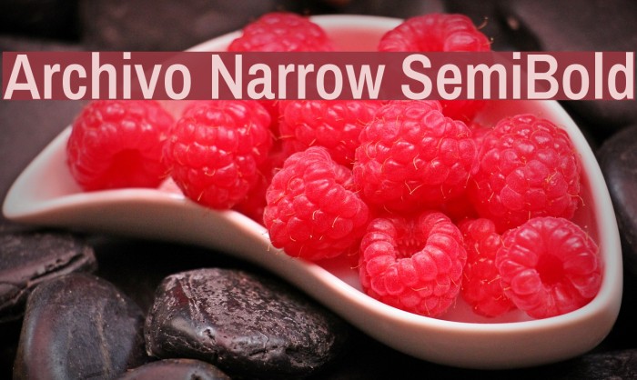 Archivo Narrow SemiBold Font examples