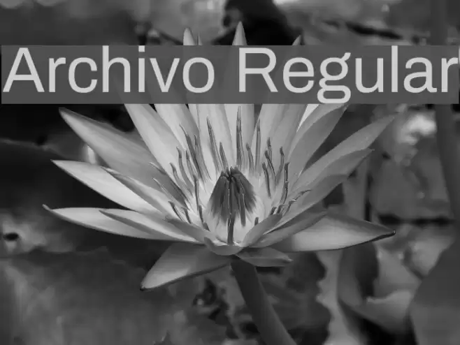 Archivo Regular Font examples