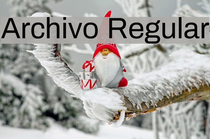 Archivo Regular Font examples