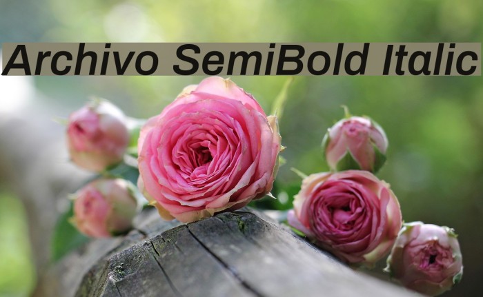 Archivo SemiBold Italic Font examples