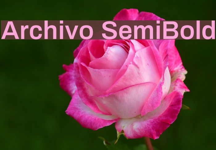 Archivo SemiBold Font examples