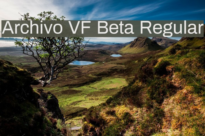 Archivo VF Beta Regular Font examples